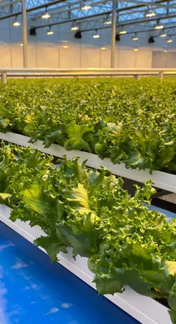 Greenhouse Gutters from Plastic